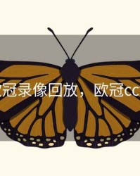 cctv5欧冠录像回放，欧冠cctv5录播