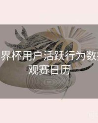 B体育世界杯用户活跃行为数据洞察 - 观赛日历