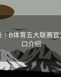 系统更新｜B体育五大联赛官方数据接口介绍