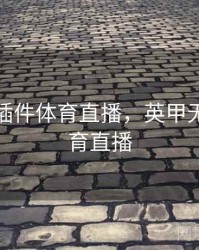 英超无插件体育直播，英甲无插件体育直播