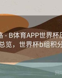 冠军之路 - B体育APP世界杯历史赛程总览，世界杯b组积分