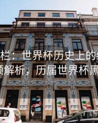 B体育专栏：世界杯历史上的经典黑马｜回顾解析，历届世界杯黑马球队