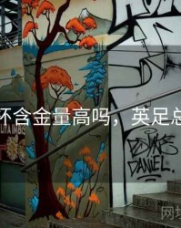 英足总杯含金量高吗，英足总杯奖杯