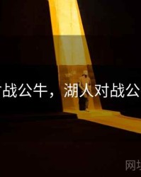 湖人对战公牛，湖人对战公牛战况