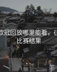 历年的欧冠回放哪里能看，往年欧冠比赛结果