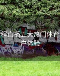 B体育全程直播五大热门体育赛事 - 用户体验