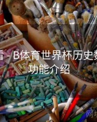 新手必看 - B体育世界杯历史数据对比功能介绍