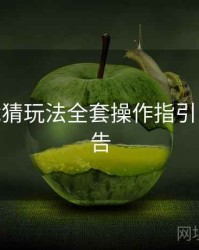 B体育竞猜玩法全套操作指引 - 数据报告