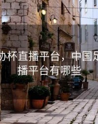 中国足协杯直播平台，中国足协杯直播平台有哪些