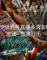 B体育APP世界杯直播多语言解说切换方法 - 观赛日历