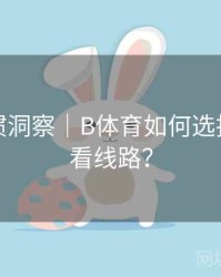 用户习惯洞察｜B体育如何选择最佳观看线路？