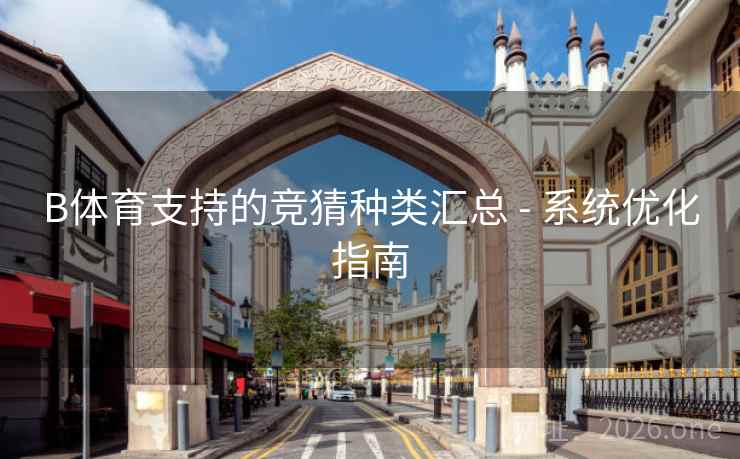 B体育支持的竞猜种类汇总 - 系统优化指南