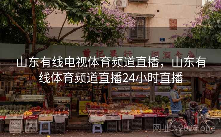 山东有线电视体育频道直播，山东有线体育频道直播24小时直播