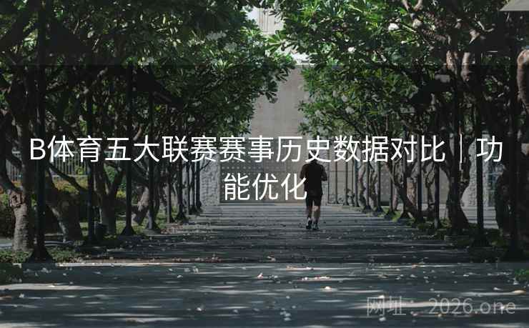 B体育五大联赛赛事历史数据对比｜功能优化