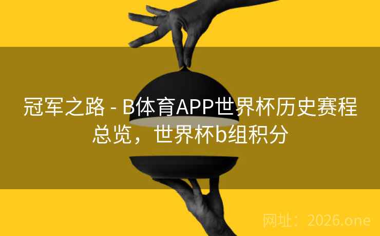 冠军之路 - B体育APP世界杯历史赛程总览，世界杯b组积分