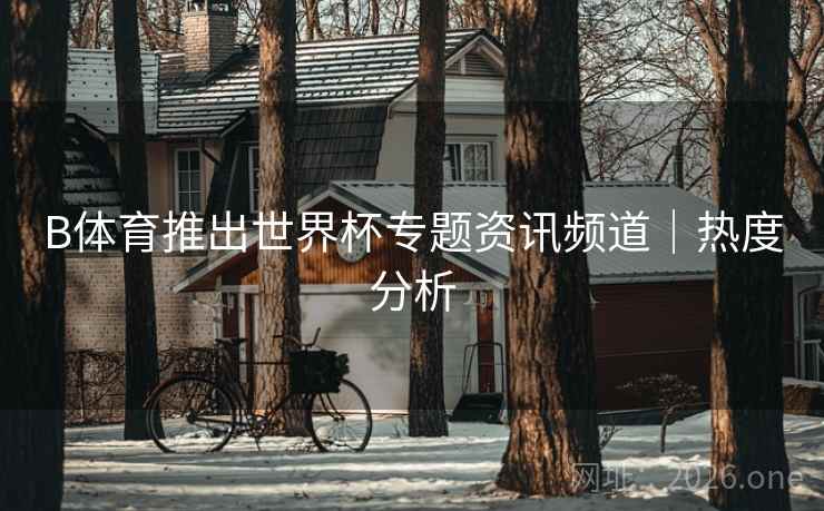 B体育推出世界杯专题资讯频道｜热度分析