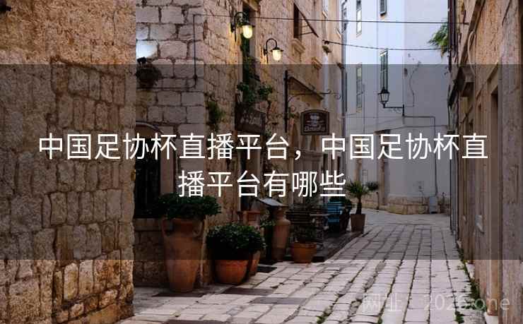中国足协杯直播平台，中国足协杯直播平台有哪些