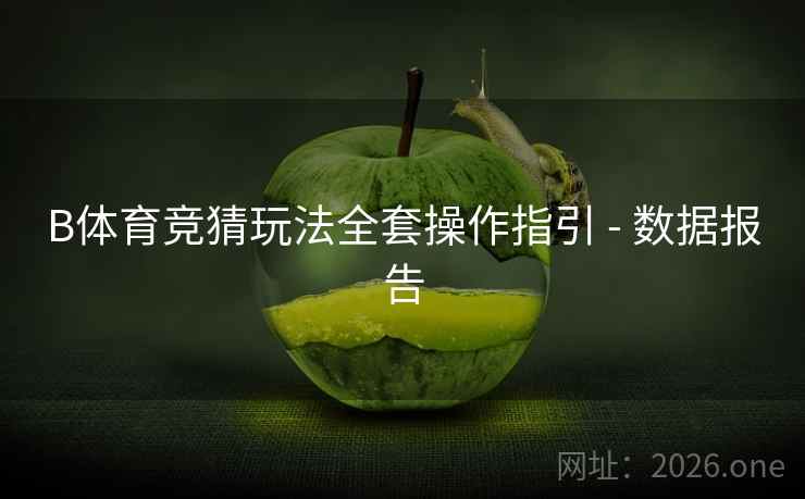 B体育竞猜玩法全套操作指引 - 数据报告