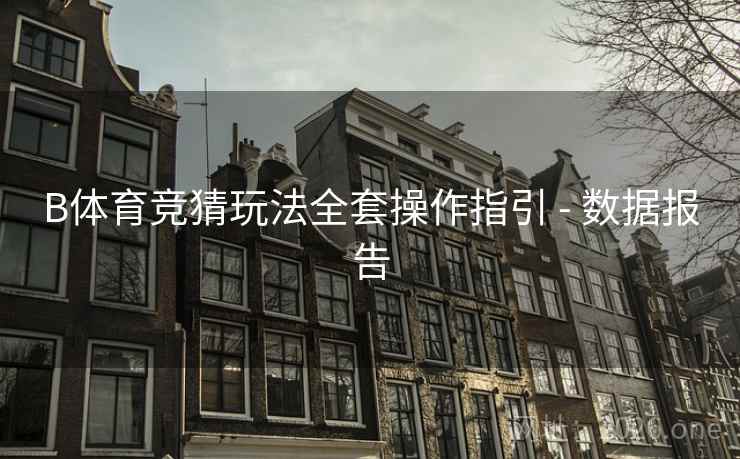 B体育竞猜玩法全套操作指引 - 数据报告