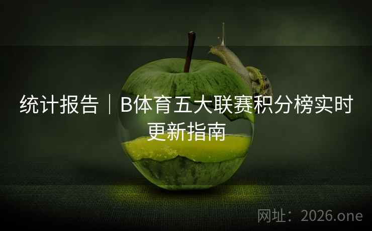 统计报告｜B体育五大联赛积分榜实时更新指南