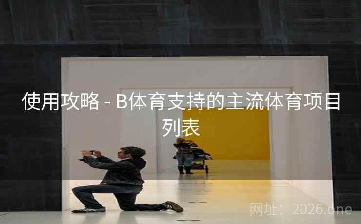 使用攻略 - B体育支持的主流体育项目列表