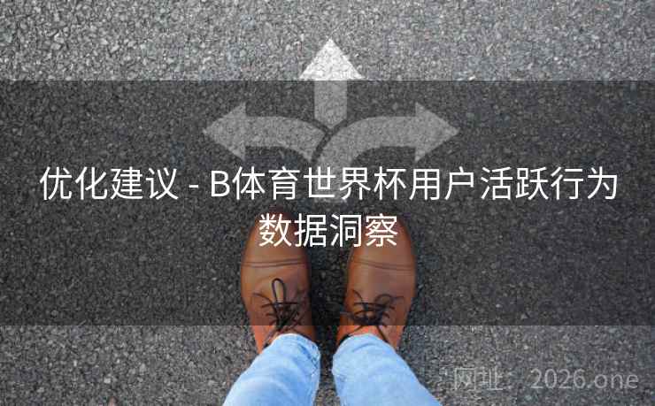 优化建议 - B体育世界杯用户活跃行为数据洞察