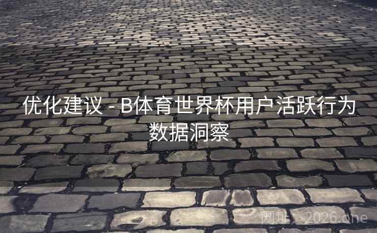优化建议 - B体育世界杯用户活跃行为数据洞察