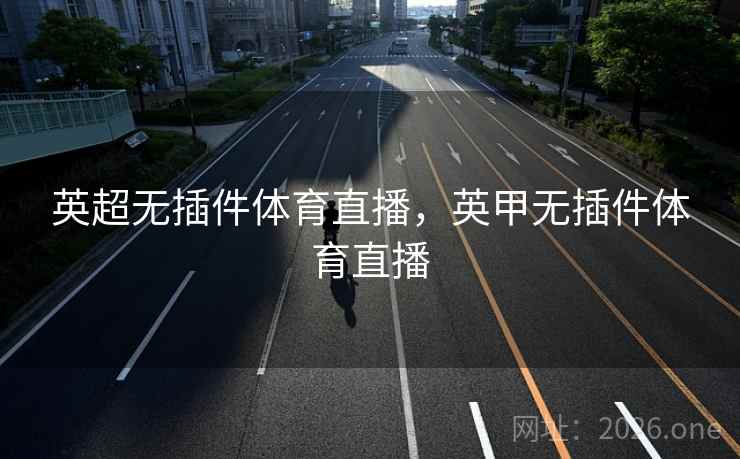 英超无插件体育直播，英甲无插件体育直播