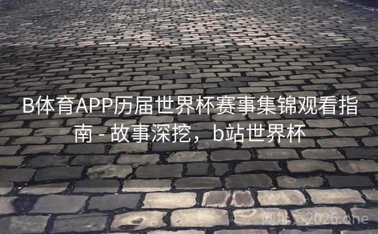 B体育APP历届世界杯赛事集锦观看指南 - 故事深挖，b站世界杯