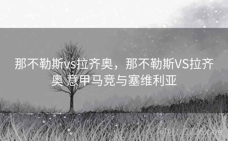 那不勒斯vs拉齐奥，那不勒斯VS拉齐奥 意甲马竞与塞维利亚