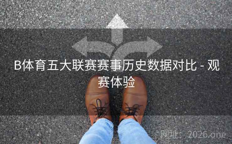 B体育五大联赛赛事历史数据对比 - 观赛体验