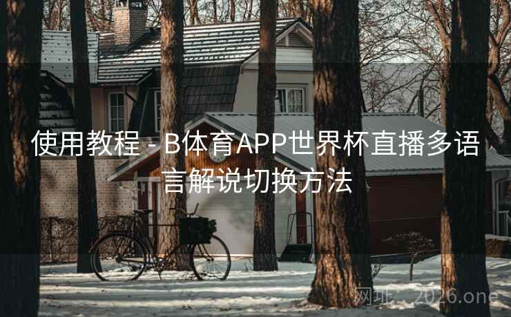 使用教程 - B体育APP世界杯直播多语言解说切换方法