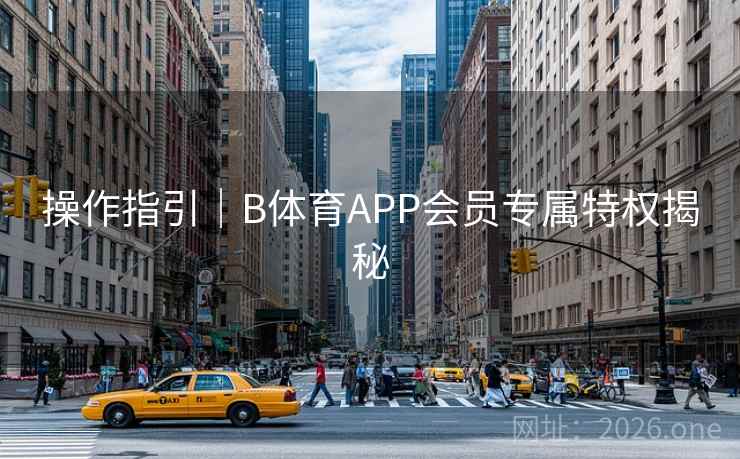 操作指引｜B体育APP会员专属特权揭秘