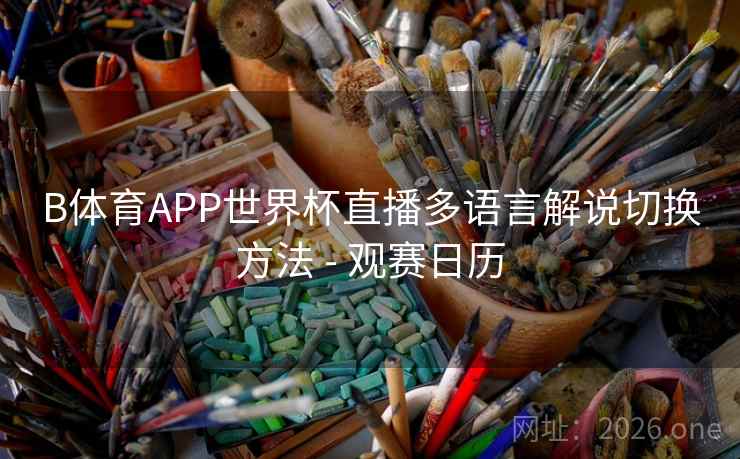 B体育APP世界杯直播多语言解说切换方法 - 观赛日历