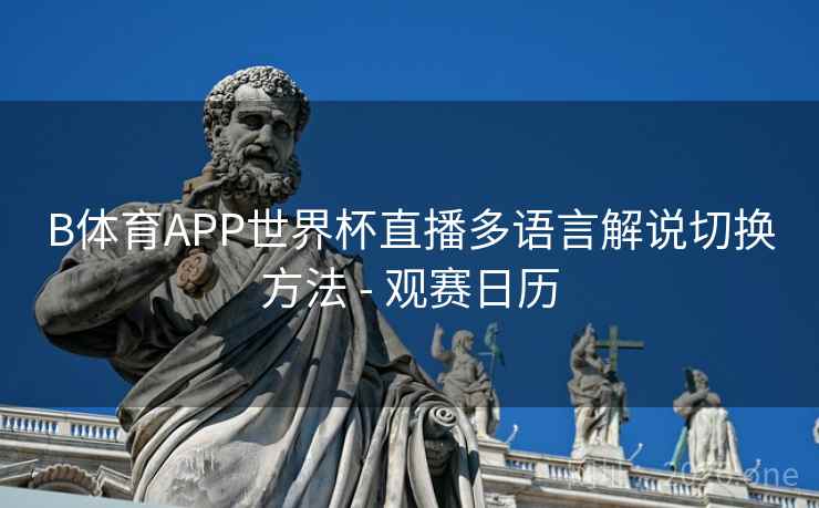 B体育APP世界杯直播多语言解说切换方法 - 观赛日历