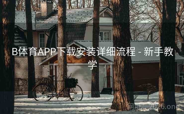 B体育APP下载安装详细流程 - 新手教学