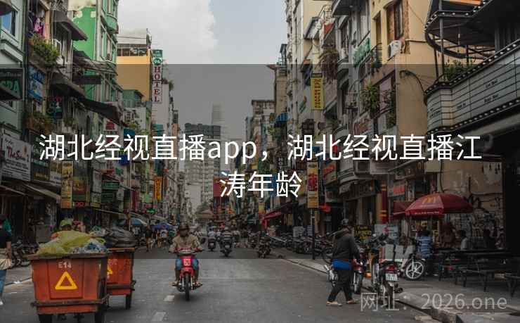 湖北经视直播app，湖北经视直播江涛年龄