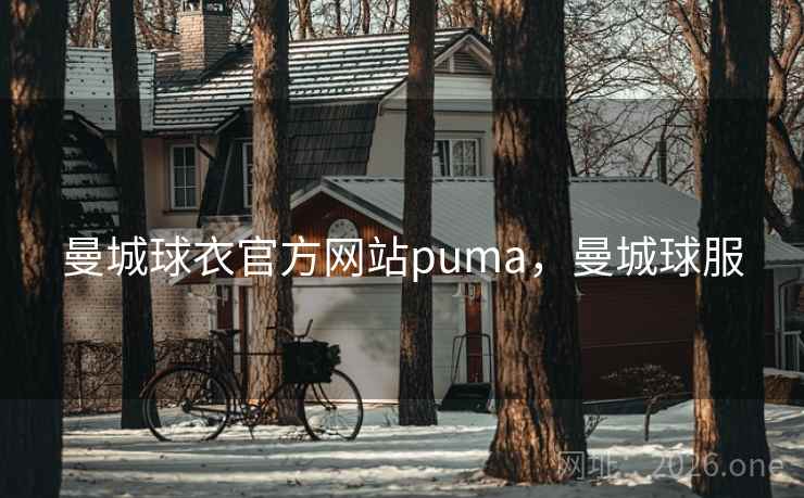 曼城球衣官方网站puma，曼城球服
