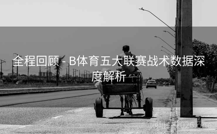 全程回顾 - B体育五大联赛战术数据深度解析