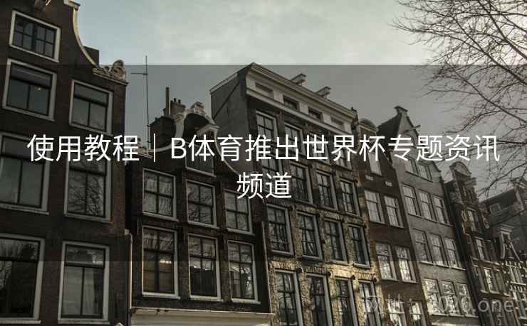 使用教程｜B体育推出世界杯专题资讯频道