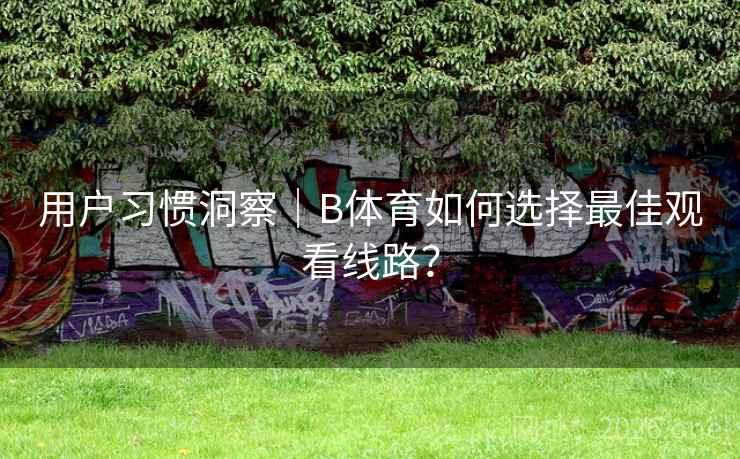 用户习惯洞察｜B体育如何选择最佳观看线路？